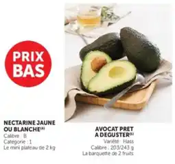 U Express AVOCAT PRET A DEGUSTER offre