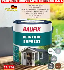 Norma BAUFIX PEINTURE EXPRESS offre