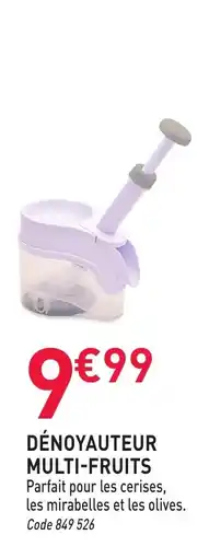 RAGT Jardin & Maison DÉNOYAUTEUR MULTI-FRUITS offre