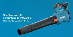 Castorama Erbauer Souffleur sans fil offre