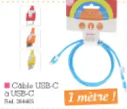 Kandy Cable USB-C à USB-C offre