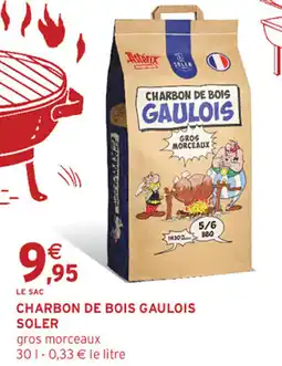 Intermarché SOLER Charbon de bois gaulois offre