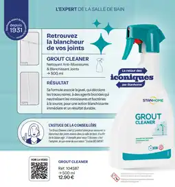 Stanhome STANHOME GROUT CLEANER offre