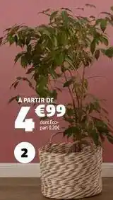 GiFi Mont eco offre