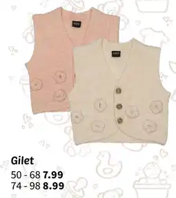 Wibra Gilet offre