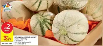 Melon charentas jaune