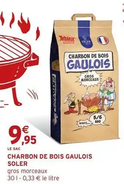 Intermarché Charbon de bois gaulois offre