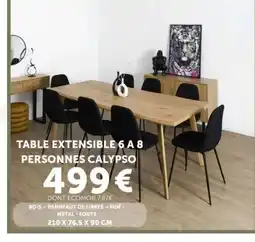Centrakor CALYPSO TABLE EXTENSIBLE 6 A 8 PERSONNES offre