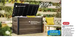 Castorama KETER Coffre Ontario Walnut offre