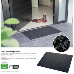 Texam Tapis d'entrée grattant offre
