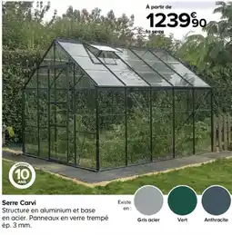 Castorama Serre Carvi offre