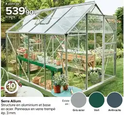 Castorama Serre Allium offre