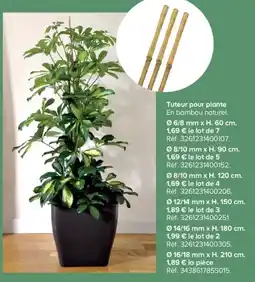 Castorama Tuteur pour plante offre