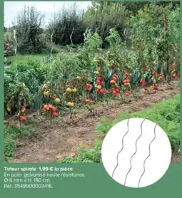 Castorama Tuteur spirale offre