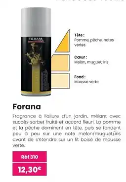 Texam Texam forana offre