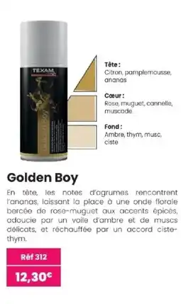 Texam Texam golden boy offre