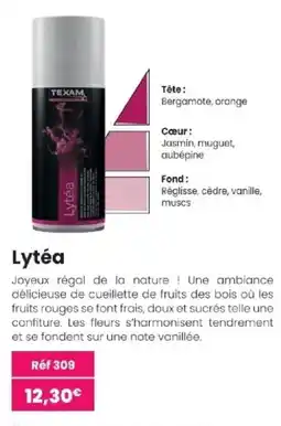 Texam Lytéa offre