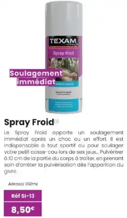Texam TEXAM Spray froid offre
