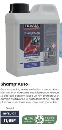Texam Shamp'Auto offre