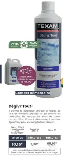 Texam Dégivr'Tout offre
