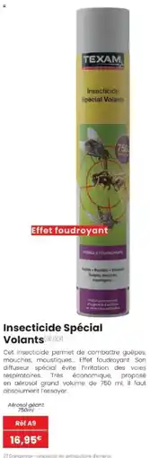 Texam Insecticide Spécial Volants offre