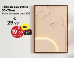 Maxi Bazar Melio Toile 3D LED offre