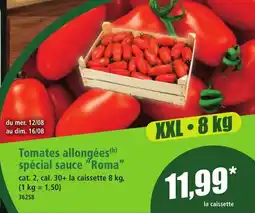 Norma Tomates allongées offre