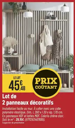 Bricorama Lot de 2 panneaux décoratifs offre