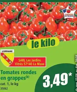 Norma Tomates rondes en grappes offre