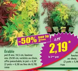 Norma Érable offre