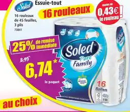 Norma Soled essuie-tout pure family offre