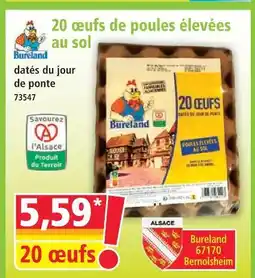 Norma 20 œufs de poules élevées au sol offre