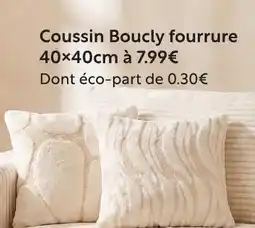 Maxi Bazar Coussin boucly fourrure offre