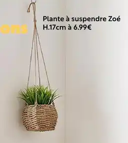 Maxi Bazar Plante à suspendre zoé offre
