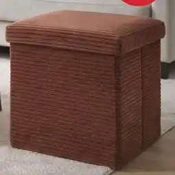 Maxi Bazar Coffre pouf pliable scott velours côtelé offre