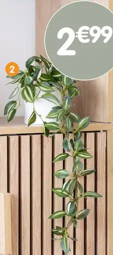 b&m Plante tombante offre