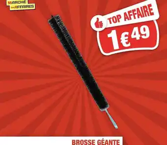 Brosse géante
