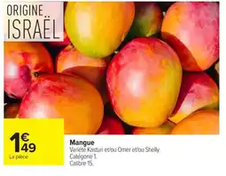 Carrefour Mangue offre