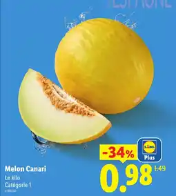 Lidl Melon Canari offre