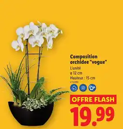 Lidl Composition orchidee "vogue" offre