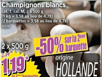 Norma Champignons blancs offre