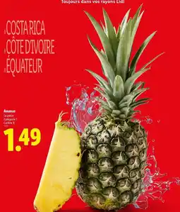 Lidl Costa - ananas de piero équitero offre