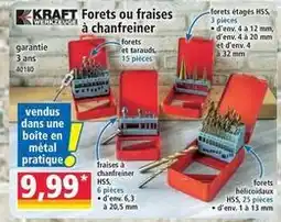Norma Kraft - forests ou fraises à chanfreiner offre