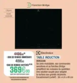 Extra Electrolux TABLE INDUCTION offre