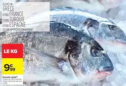 Carrefour Market Daurade royale offre