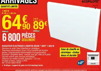 Brico Dépôt Radiateur électrique à inertie sechè "Udd" 1000W offre