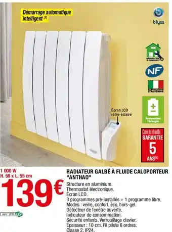 Radiateur galbé à fluide Caloporteur "Anthao"