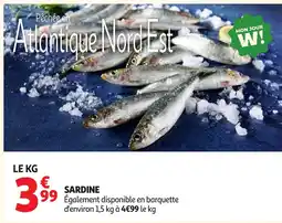 Auchan Direct SARDINE offre