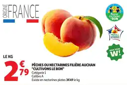Auchan Direct CULTIVONS LE BON PÊCHES OU NECTARINES offre