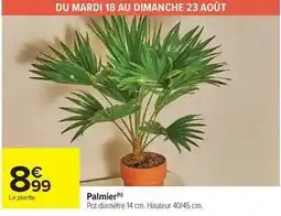 Carrefour Drive Palmier offre